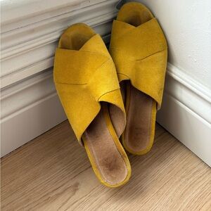 ✨S O L D✨ Shoe the Bear Yellow Suede Slides